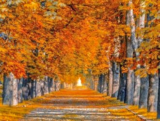 Cores de Outono na Hungria